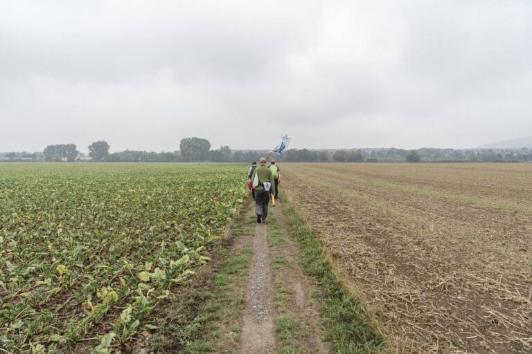 Foto2_Pilgernde-unterwegs_Pilgerbasis-Klimapilgerweg2021-768x512